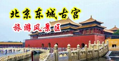 日本操bb中国北京-东城古宫旅游风景区